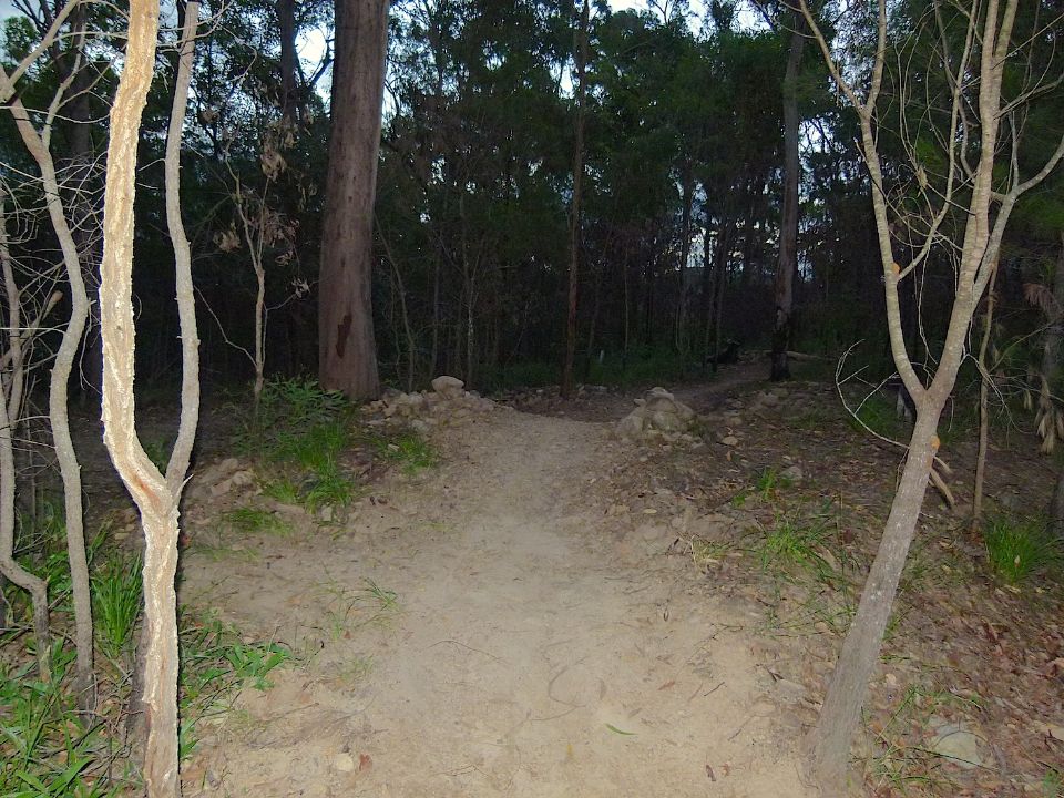 P1160361.jpg